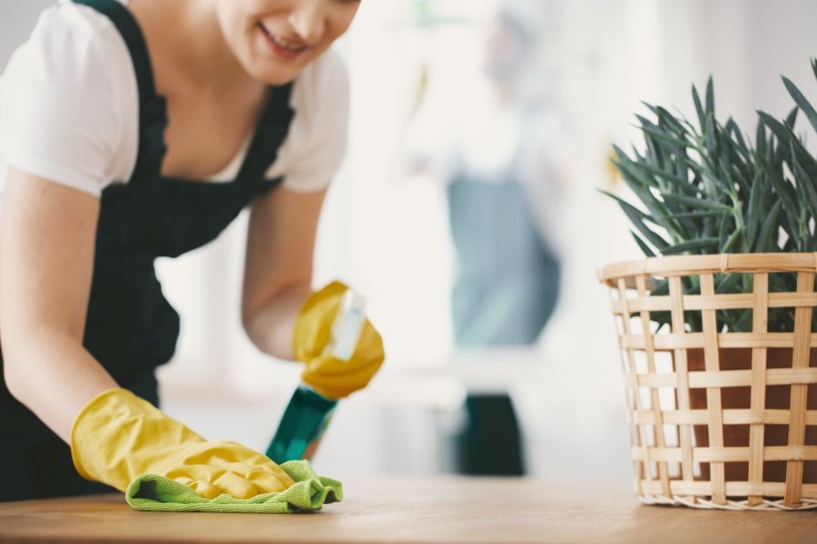 Green Cleaning in Jacksonville, Florida by Madison Home Services, LLC